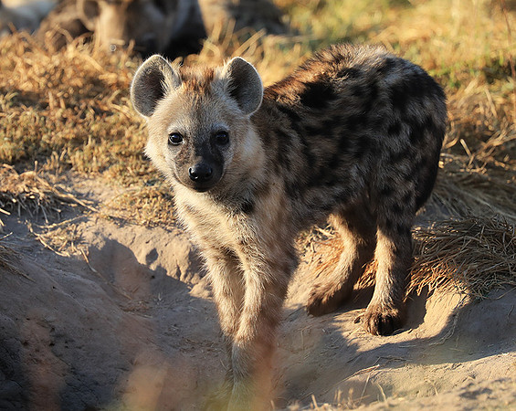 Liuwa Plain NP