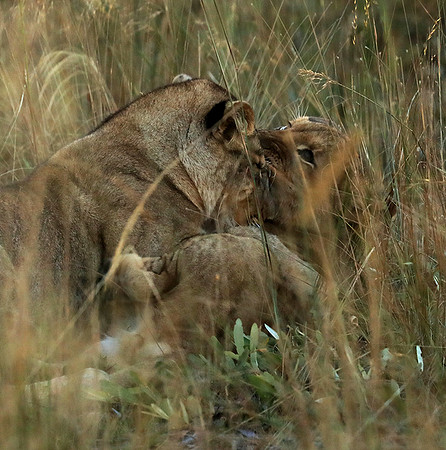 Liuwa Plain NP
