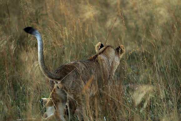 Liuwa Plain NP