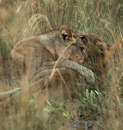 Liuwa Plain NP