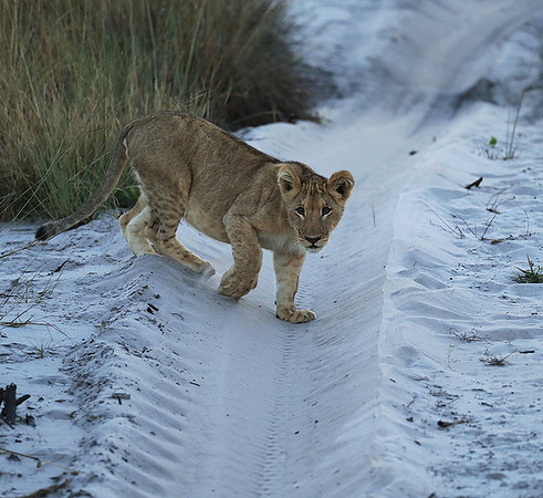 Liuwa Plain NP