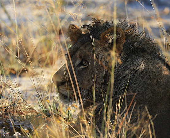 Liuwa Plain NP