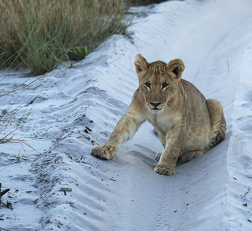 Liuwa Plain NP