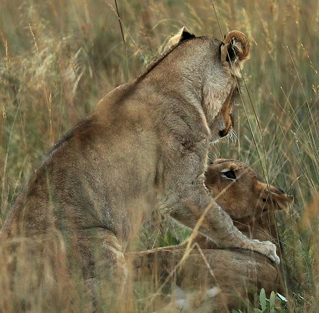 Liuwa Plain NP
