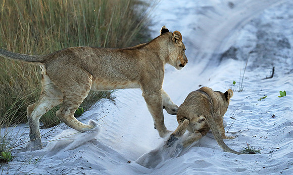 Liuwa Plain National Park