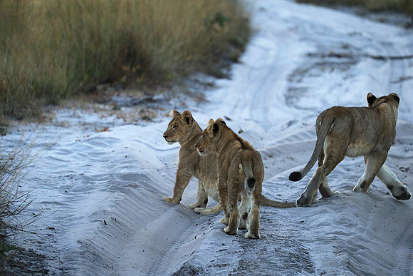 Liuwa Plain NP