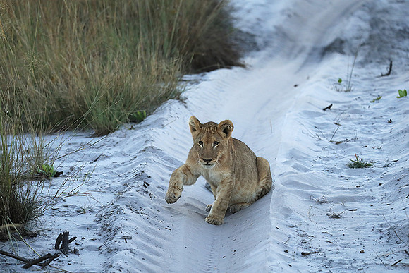 Liuwa Plain NP