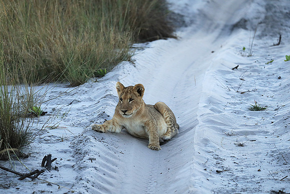 Liuwa Plain NP