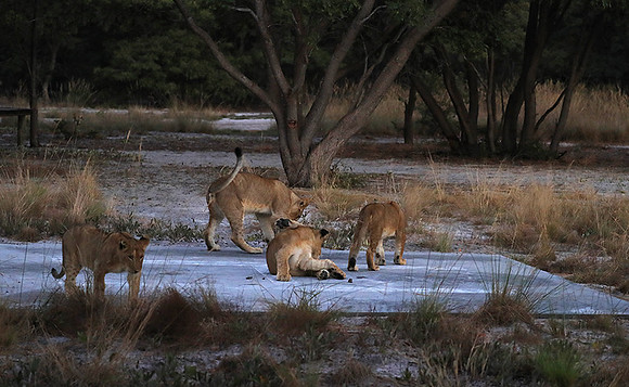 Liuwa Plain NP