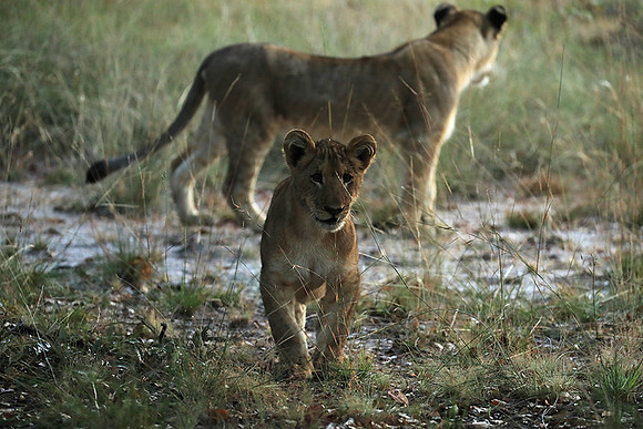 Liuwa Plain NP
