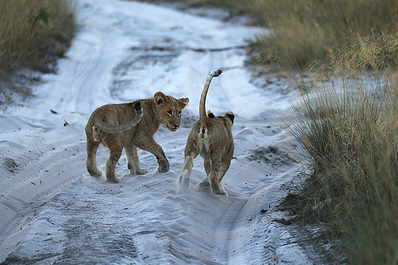 Liuwa Plain NP