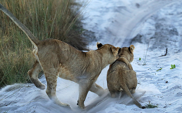 Liuwa Plain National Park