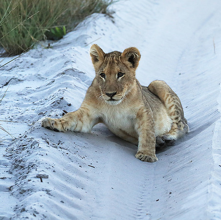 Liuwa Plain NP