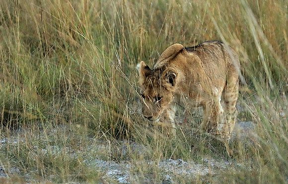 Liuwa Plain NP