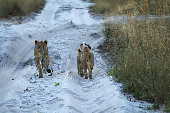 Liuwa Plain NP