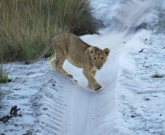 Liuwa Plain NP