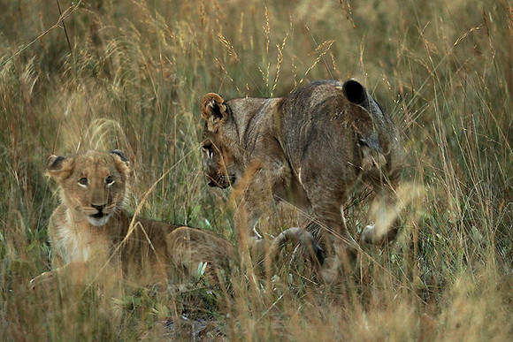 Liuwa Plain NP