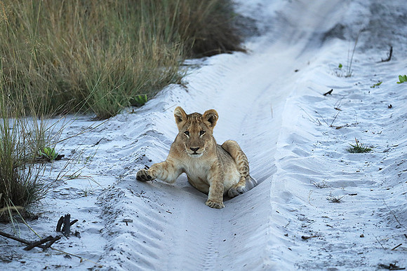 Liuwa Plain NP