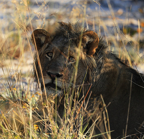 Liuwa Plain NP