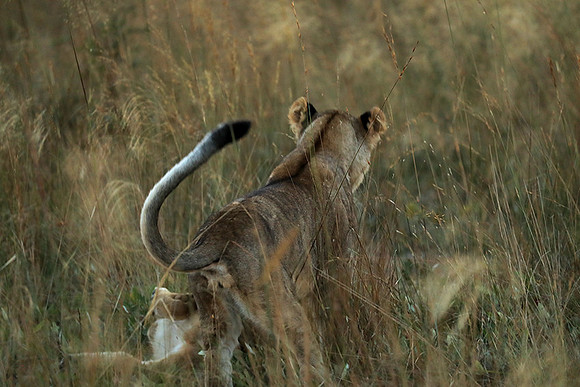 Liuwa Plain NP