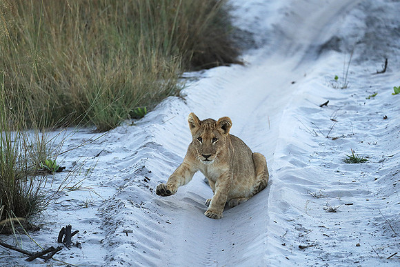 Liuwa Plain NP