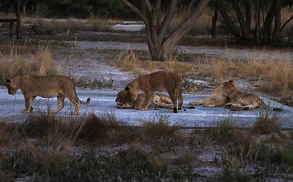 Liuwa Plain NP
