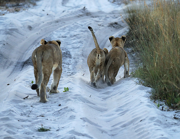 Liuwa Plain NP
