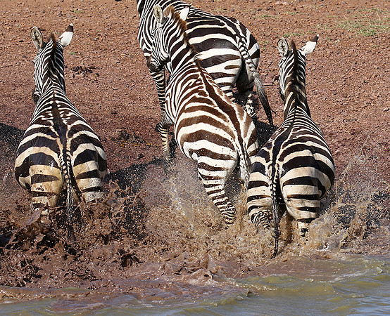Serengeti - Grumeti Private Reserve