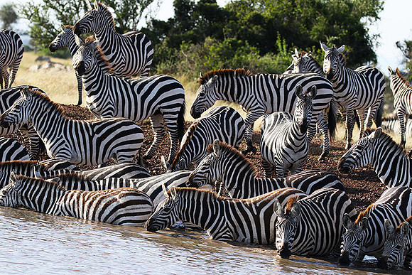Serengeti - Grumeti Private Reserve