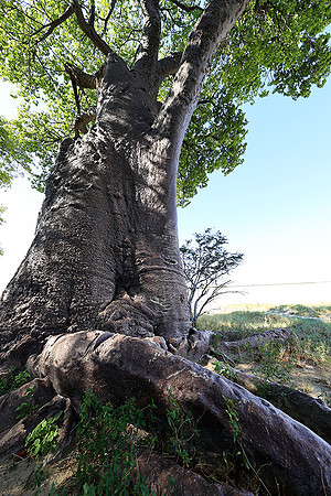 Botswana