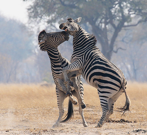 Hwange National Park