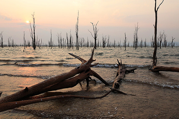 Sunrise over lake Kariba - Matusadona NP