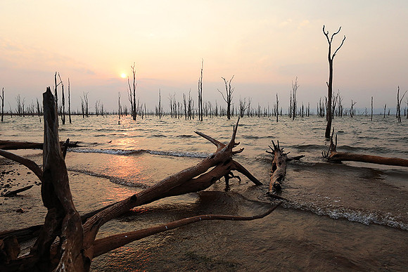 Sunrise over lake Kariba - Matusadona NP
