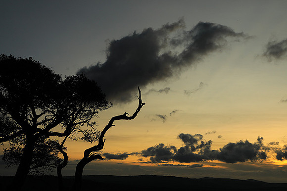 Sunset - Borana