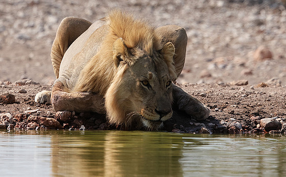 Ongava Private Reserve