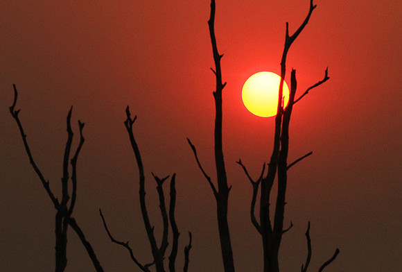 Sunset - Lake Kaiiba - Matusadona NP