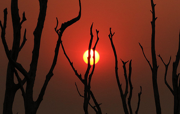 Sunset - Lake Kaiiba - Matusadona NP