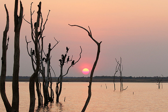 Sunset - Lake Kaiiba - Matusadona NP