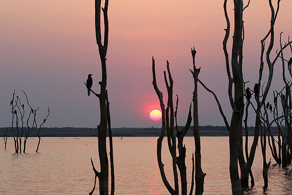 Sunset - Lake Kaiiba - Matusadona NP
