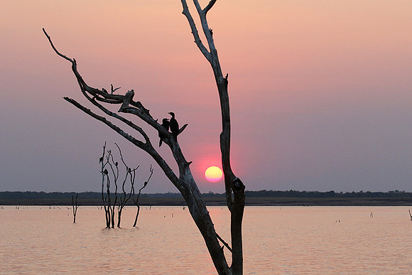 Sunset - Lake Kaiiba - Matusadona NP