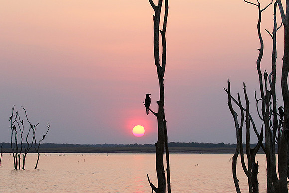 Sunset - Lake Kaiiba - Matusadona NP