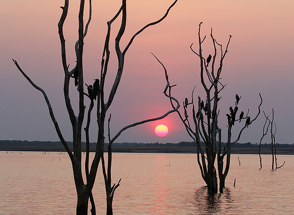 Sunset - Lake Kaiiba - Matusadona NP