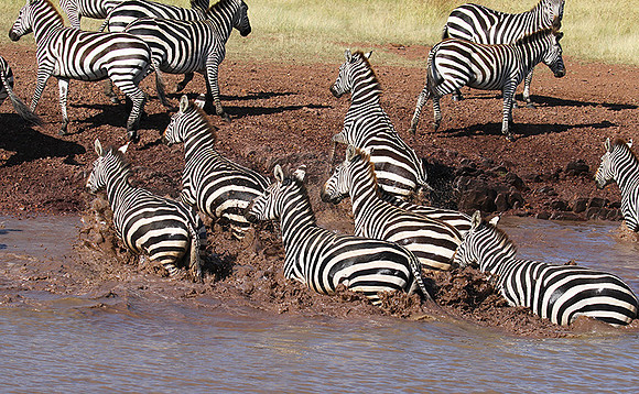 Serengeti - Grumeti Private Reserve