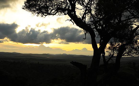 Sunset - Borana