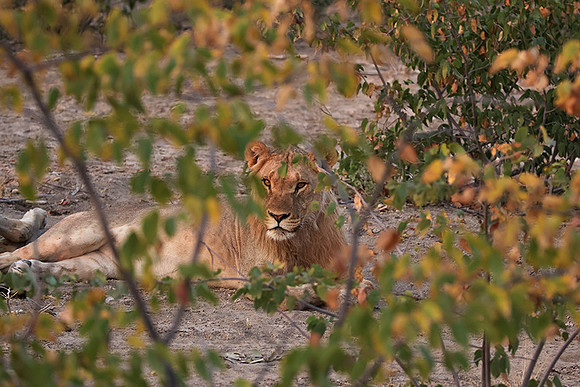 Ongava Private Reserve