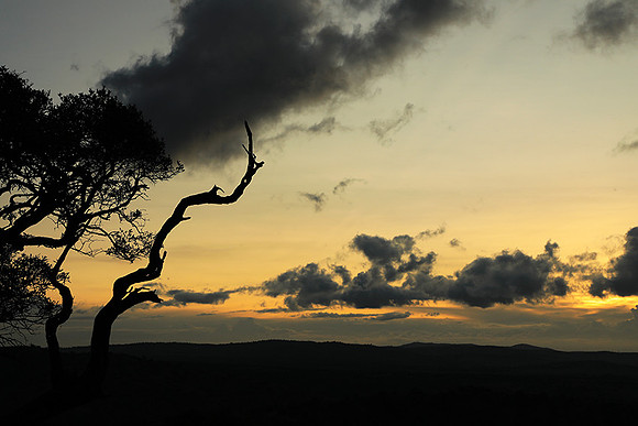 Sunset - Borana