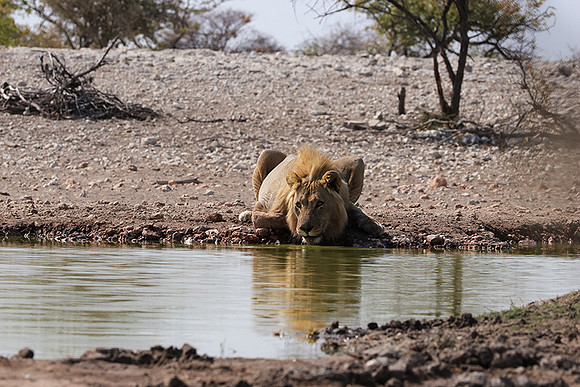 Ongava Private Reserve