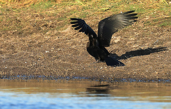Kafue National Park