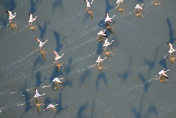Helicopter flight over Sua Pan - Makgadikgadi
