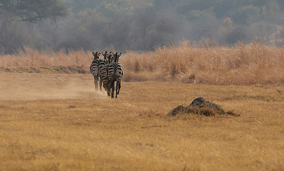 Matetsi private game reserve
